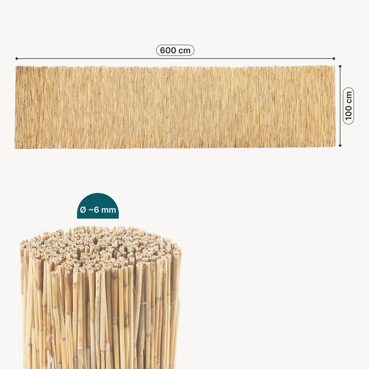 SCHILFZAUN Abbateggio - Naturfarben, Naturmaterialen (100/0.6cm) - casa.pro