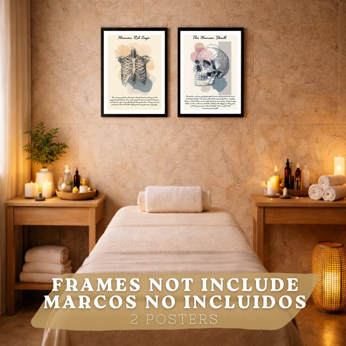 POSTER Set aus 2 Anatomie Mensch Lernposter Drucke und Wandbilder mit Skelett Rippen und Schädel Klinik Büro Dekoration Größe Rahmenlos A3 - Klar, Papier (29.7/42/3cm) - Nacnic
