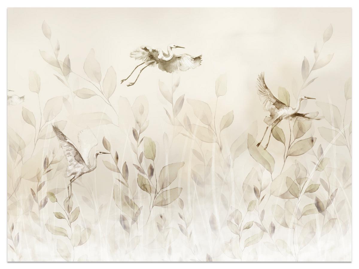 FOTOTAPETE Vögel Blätter Wiese Retro Stil 200x140 - Beige, Papier (200/140cm) - Muralo