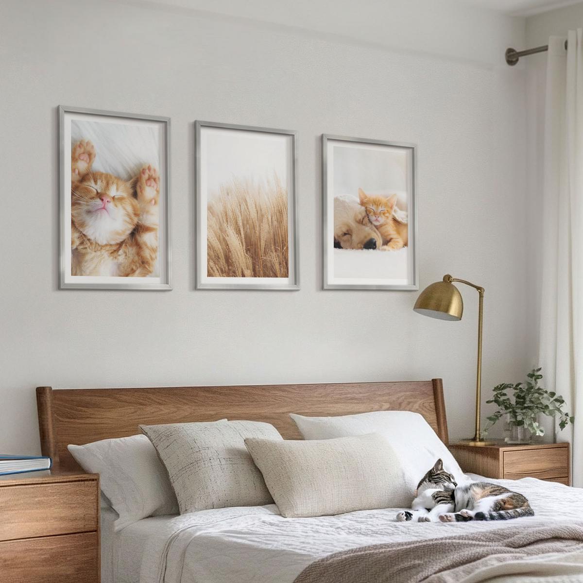 BILDER SET 3er Set - 40x60 cm Silberner Rahmen - Niedliche Tiere, Katzen, Hunde, Boho-Stil - Silberfarben, Kunststoff (40/60cm) - TULUP