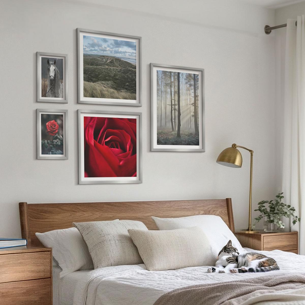 BILDER SET 5er Set - 50x50 cm & 20x30 cm & 40x60 cm Silberner Rahmen - Rote Rosen auf pferdegrauem Hintergrund - Silberfarben, Kunststoff (40/60cm) - TULUP