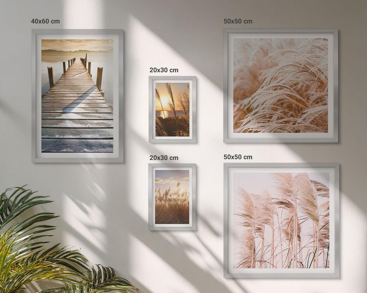 BILDER SET 5er Set - 50x50 cm & 20x30 cm & 40x60 cm Silberner Rahmen - Boho-Grasfeld-Sonnenuntergang - Silberfarben, Kunststoff (40/60cm) - TULUP