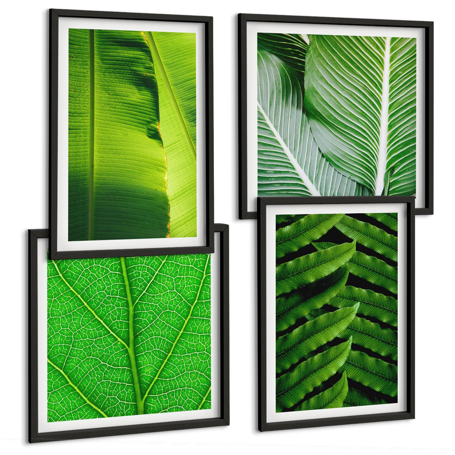 BILDER SET 4er Set - 50x50 cm & 40x60 cm Schwarzer Rahmen - Nahaufnahme von tropischen Blättern - Schwarz, Kunststoff (50/50cm) - TULUP