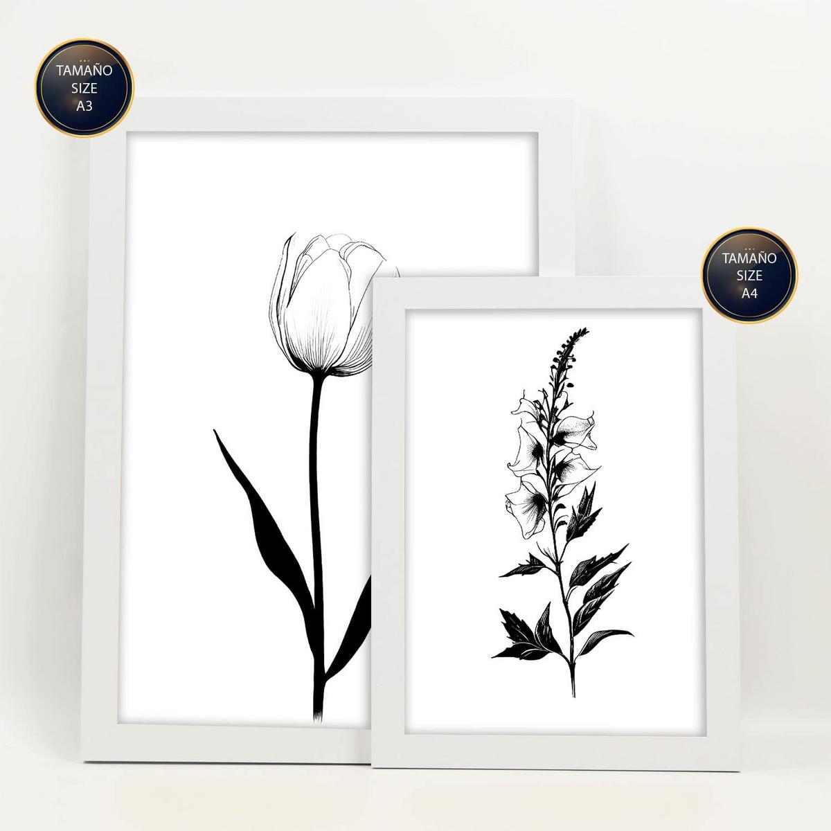POSTER Set Mit 6 Kleine Blumen Natur Und Botanikdrucke Mit Blumenmotiven In Klassischem Schwarz Und Weiß Innenarchitektur A3 & A4 Weißer Rahmen - Weiß, Papier (29/3cm) - Nacnic