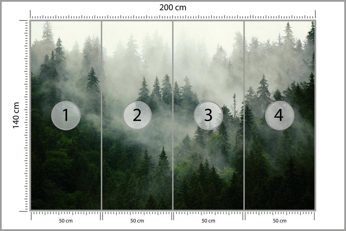 FOTOTAPETE Wald im Nebel Natur Landschaft 3D 200x140 - Grau/Grün, Papier (200/140cm) - Muralo