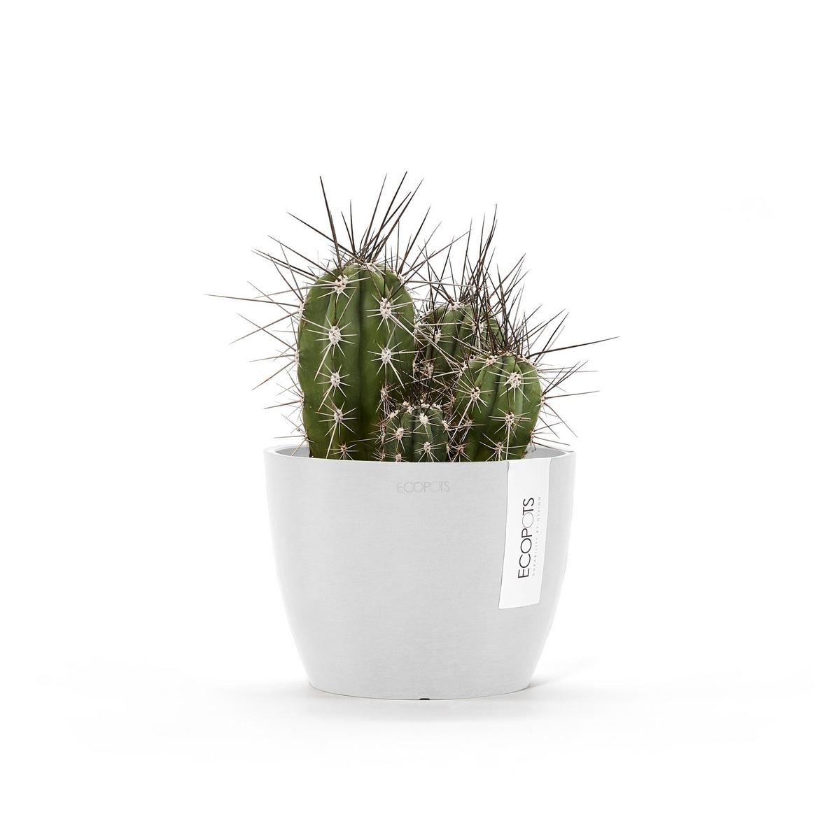 BLUMENTOPF Stockholm Mini 16,2/12 cm Weiß - Weiß, Kunststoff (16.2/12cm) - Ecopots