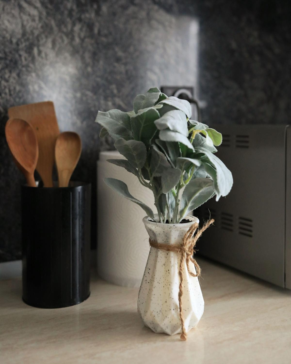 KÜNSTLICHE Topfpflanze 30 cm Grün/Schwarz Peperomia Argyreia - Schwarz/Grün, Kunststoff (30cm) - Beliani