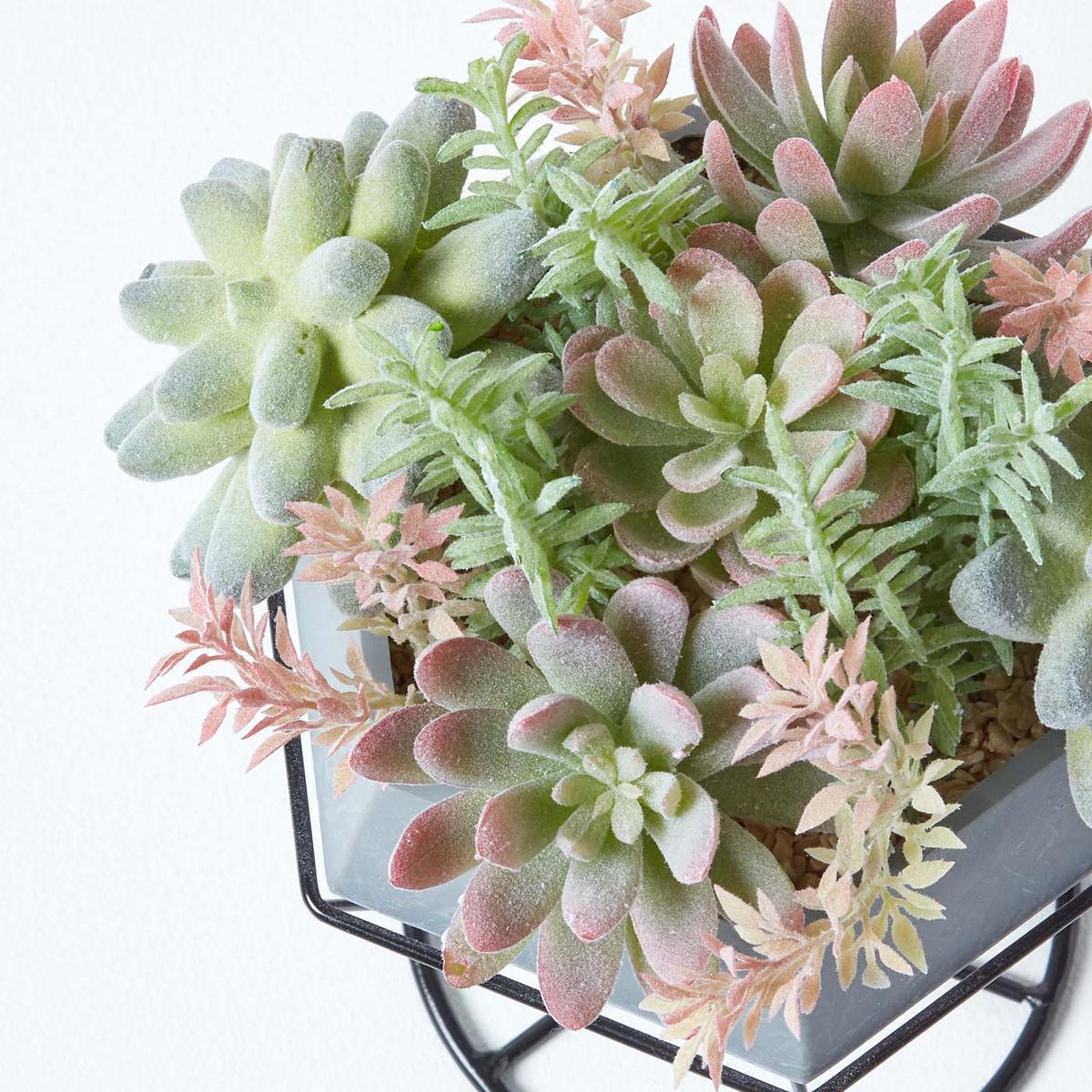 KUNSTPFLANZEN Sukkulenten-Arrangement im Deko-Topf, 31 cm - Grün, Kunststoff (31cm) - Homescapes