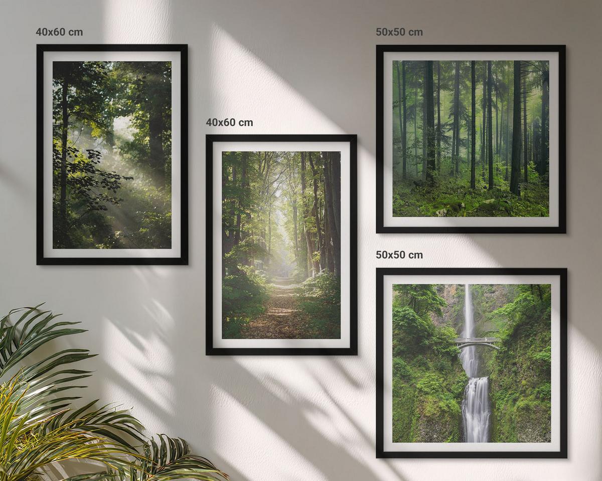 BILDER SET 4er Set - 50x50 cm & 40x60 cm Schwarzer Rahmen - Grüne Wälder, Lichtstrahlen - Schwarz, Kunststoff (50/50cm) - TULUP