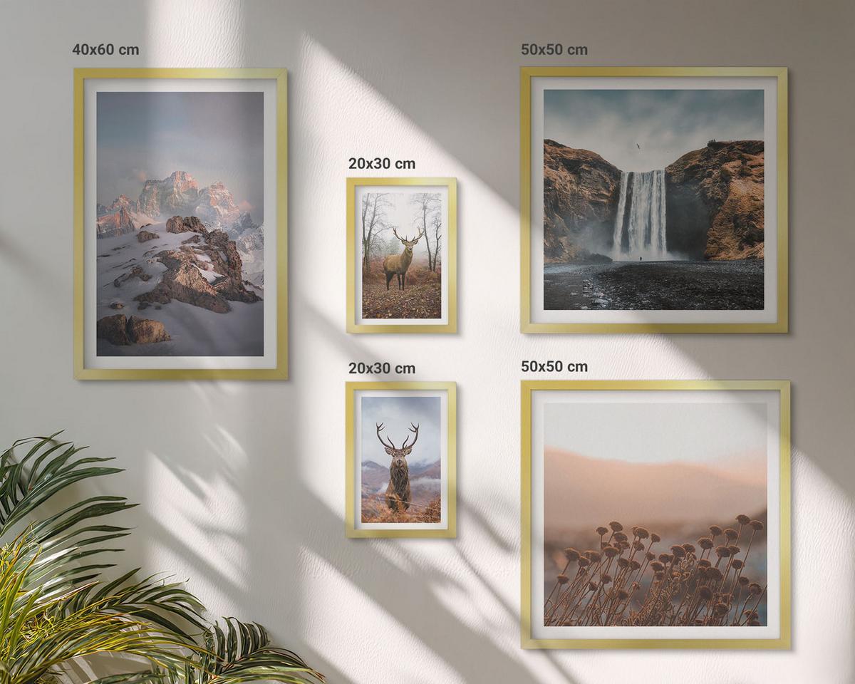 BILDER SET 5er Set - 50x50 cm & 20x30 cm & 40x60 cm Goldrahmen - Urlaub Palmen Wasserfall - Goldfarben, Kunststoff (40/60cm) - TULUP
