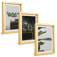 BILDER SET 3er Set - 20x30 cm Goldrahmen - Rustikale Topfpflanzen - Goldfarben, Kunststoff (20/30cm) - TULUP