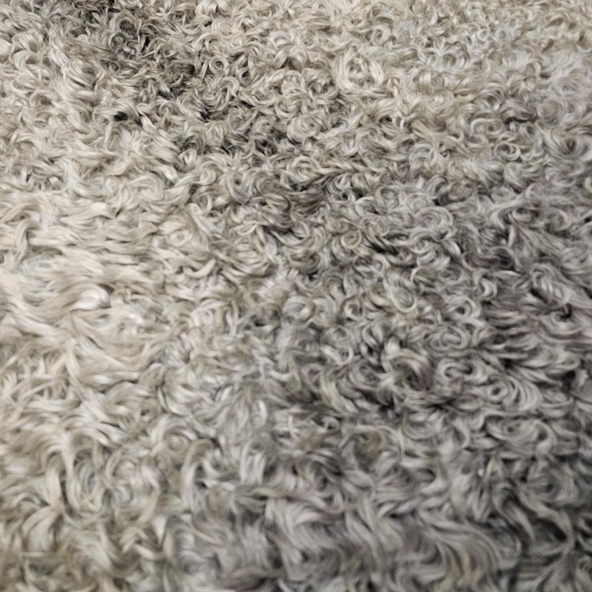 SCHAFFELL Gotland Naturgrau Lockig Unikat ca. 100 cm - Hellgrau, Fell (60/100cm) - Provellus