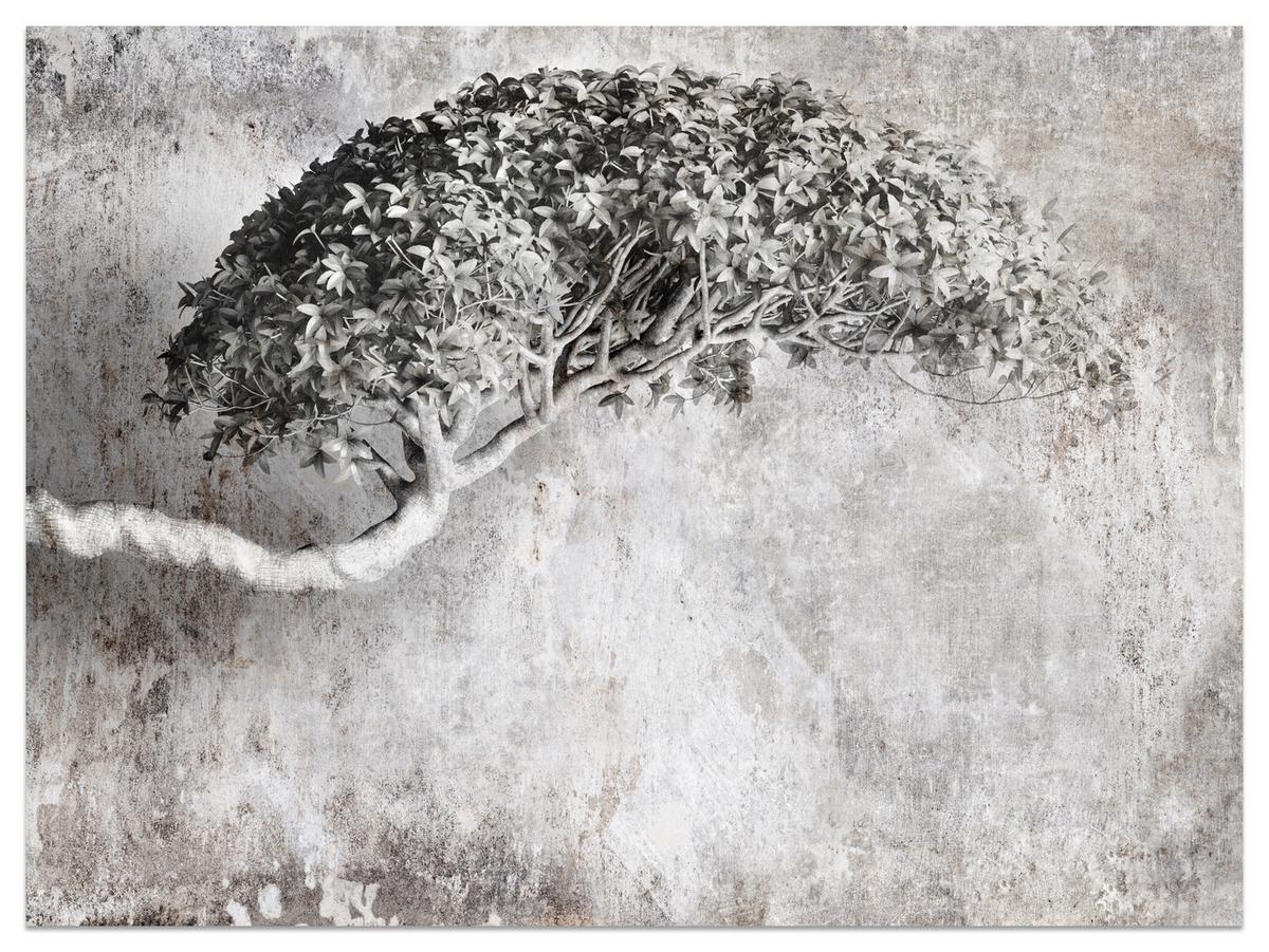 FOTOTAPETE Abstrakter Baum Beton 3D Effekt 400x280 - Schwarz/Grau, Papier (400/280cm) - Muralo