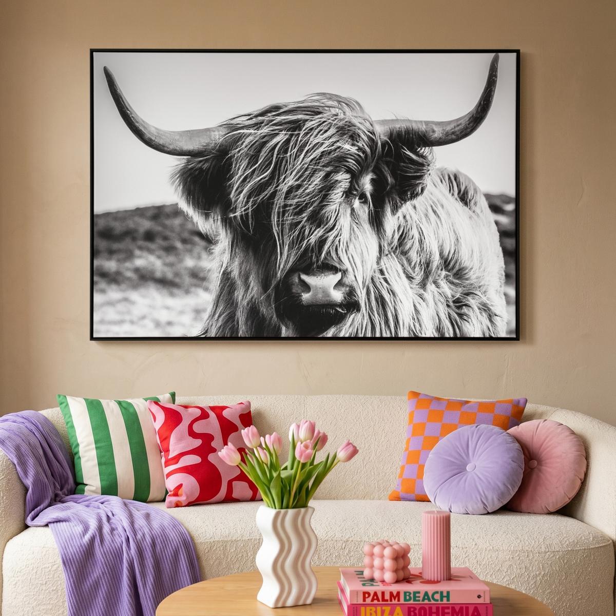 LEINWAND Bilder mit Rahmen - Kuh - Schottischer Hochländer - Schwarz - Weiß - Tier - Natur - Wildtiere - 150x100 - Schwarz, Textil (150/100cm) - MuchoWow