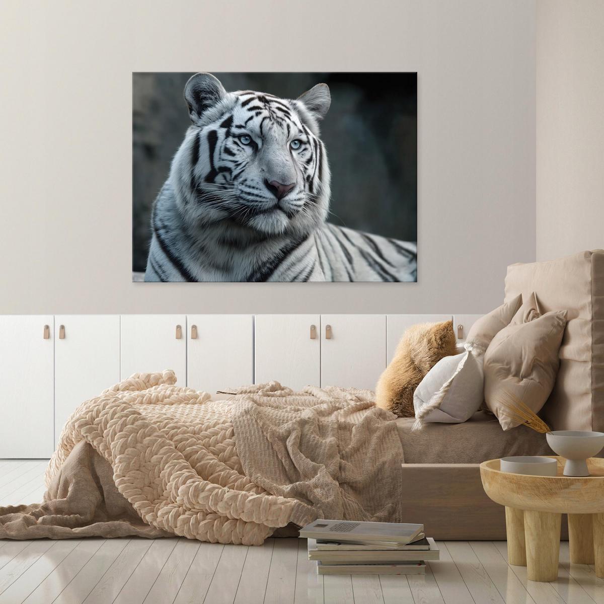 LEINWANDBILD Tiger Tiere Weiß 60x40 cm - Multicolor, Holzwerkstoff (60/40cm) - Wallarena