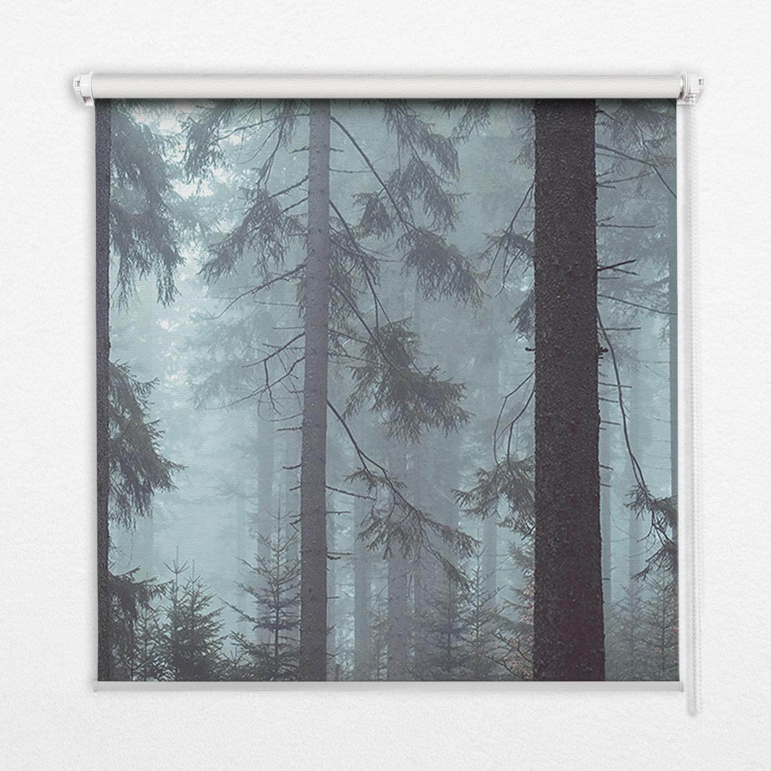 INNENROLLO - Fensterrollo - Rollo - 60x40 cm - Wald bei Nacht - Blau, Kunststoff (60/140/0.5cm) - TULUP