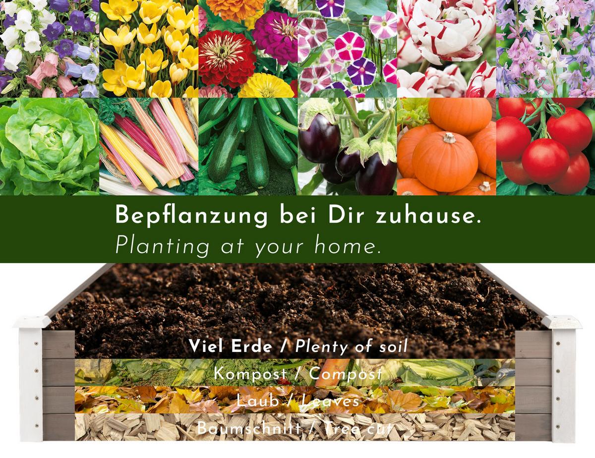 HOCHBEET-UMRANDUNG aus Holz für Garten, quadratisch - Weiß, Holz (120/26.5/120cm) - WONDERMAKE