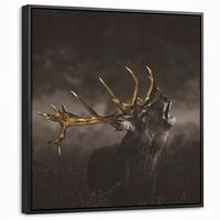 LEINWAND Bilder mit Rahmen - Rotwild - Schwarz - Gold - 50x50 - Braun, Textil (50/50cm) - MuchoWow