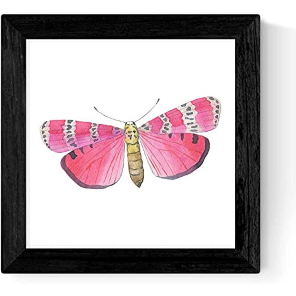 POSTER Set mit 4 Schmetterlinge 20x20cm Schwarzer Rahmen - Schwarz, Papier (20/3cm) - Nacnic