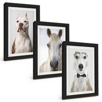 BILDER SET 3er Set - 20x30 cm Schwarzer Rahmen - Elegante Porträts von Hunden und Pferden - Schwarz, Kunststoff (20/30cm) - TULUP