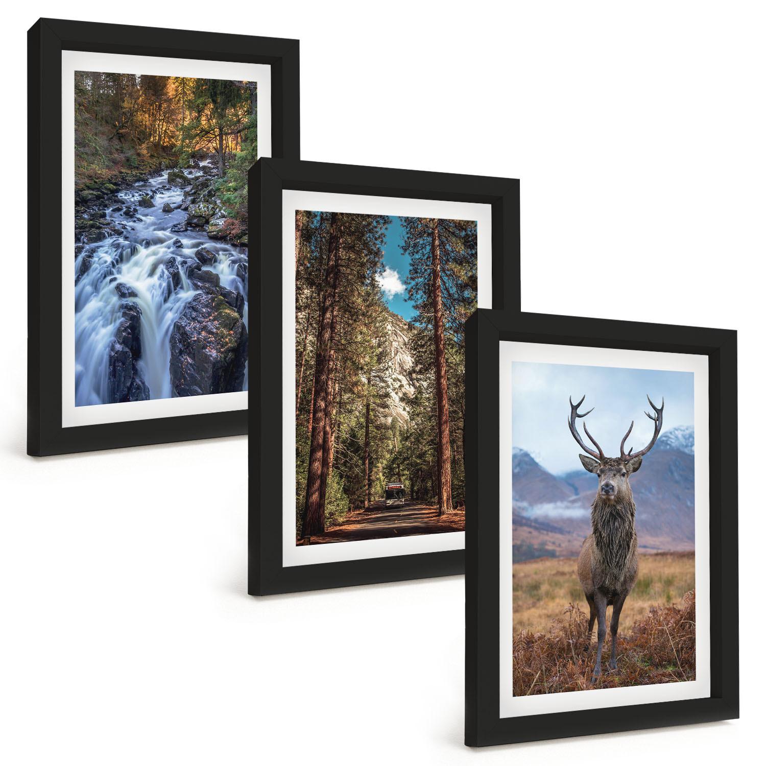 BILDER SET 3er Set - 20x30 cm Schwarzer Rahmen - Wasserfall Wald Berge Hirsch Natur - Schwarz, Kunststoff (20/30cm) - TULUP