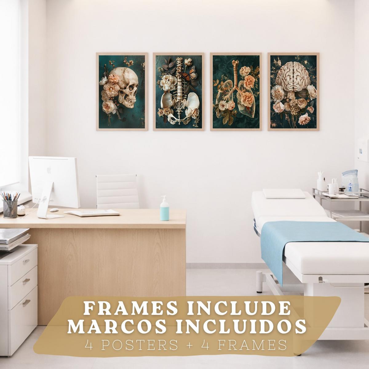POSTER Set aus 4 Anatomie Mensch Drucke und mit Schädel Gehirn Lungen Luftröhre Bronchien Becken Wirbelsäule Florales Größe Leichter Holzrahmen A4 - Beige, Papier (21/29.7/3cm) - Nacnic