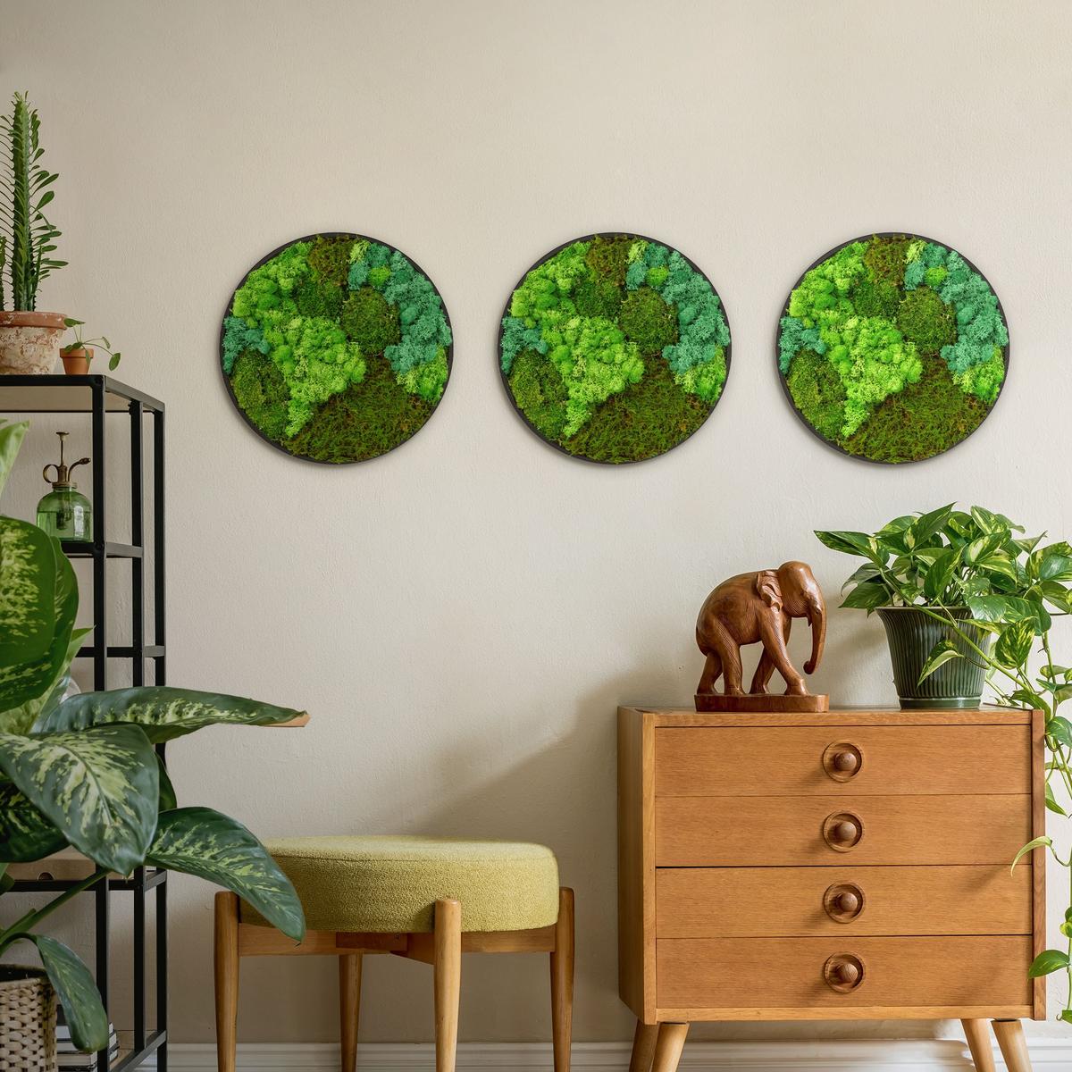 MOOSBILD Rund Ø 40 cm Mooswand Indoor mit echtem Kugelmoos-Islandmoos-Flachmoos-Mix und Holzrahmen Grün - Waldgrün, Naturmaterialien (40/40/3cm) - ECD-Germany