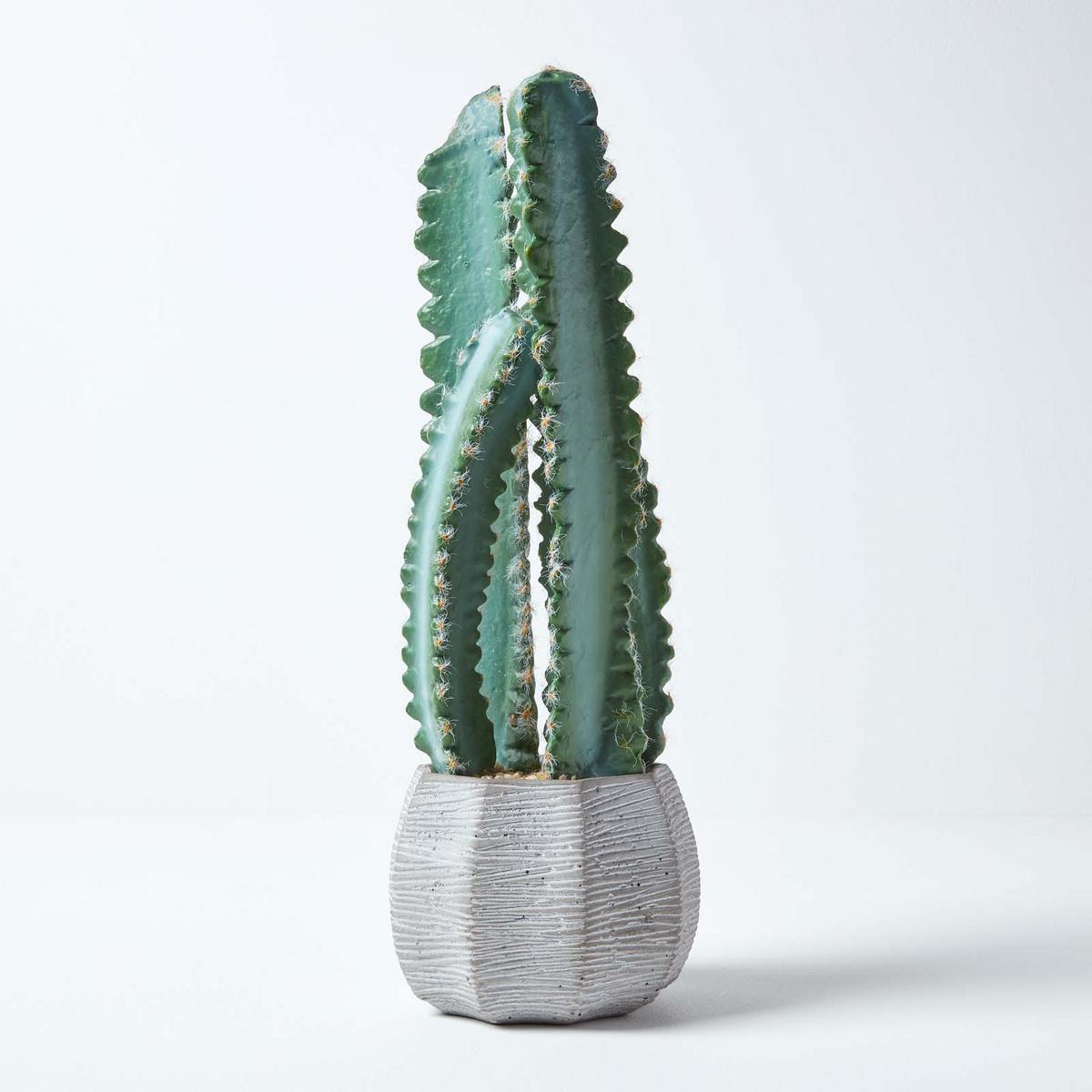 KUNSTPFLANZE Kaktus im Deko-Topf, 49 cm - Grün, Kunststoff (49cm) - Homescapes
