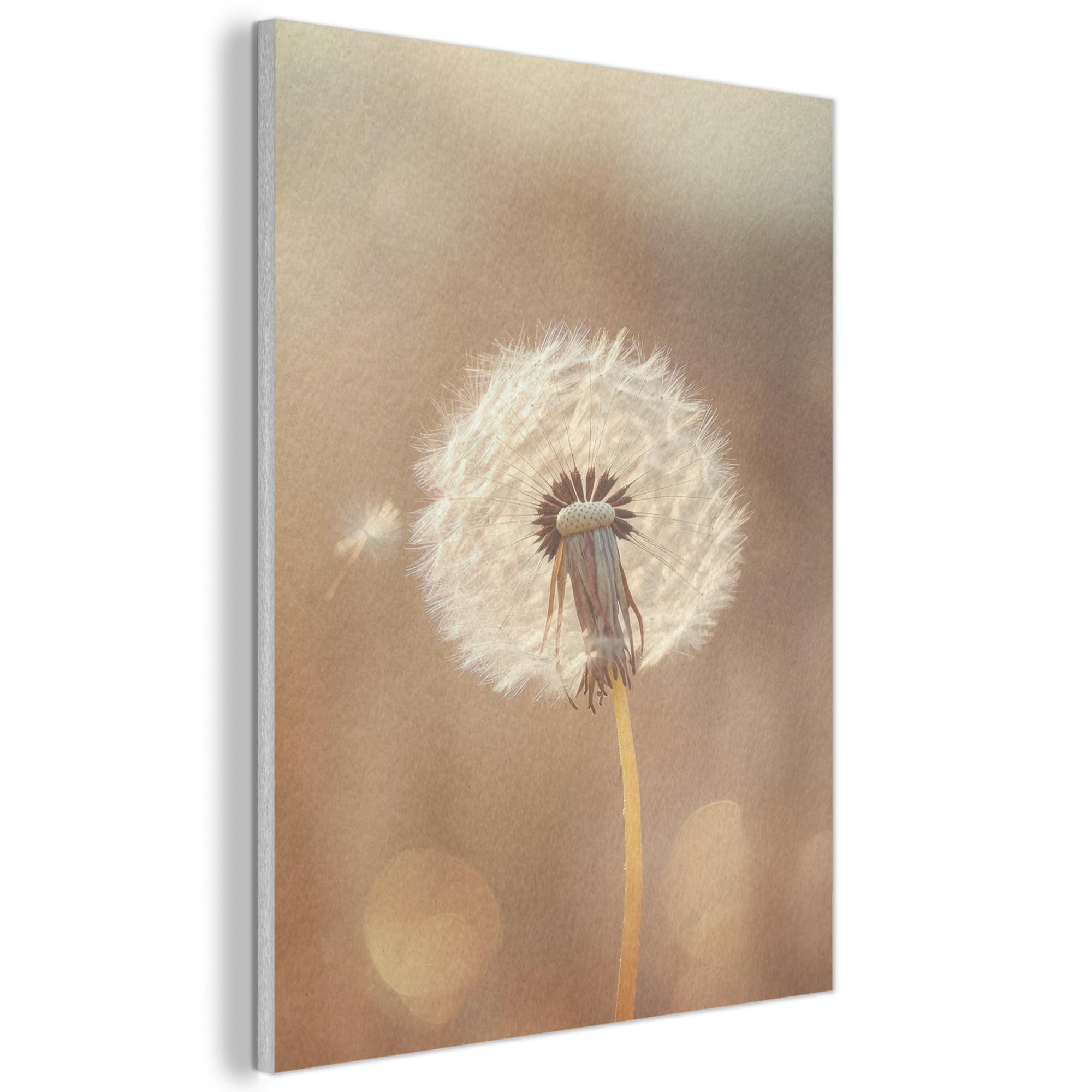 AKUSTIKBILD Löwenzahn - Beige - Natur - Blume Wanddeko 70x100 cm - Hellbraun, Kunststoff (70/100/0.9cm) - MuchoWow