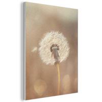 AKUSTIKBILD Löwenzahn - Beige - Natur - Blume Kunstdruck Schlafzimmer 50x70 cm - Hellbraun, Kunststoff (50/70/0.9cm) - MuchoWow