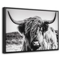 LEINWAND Bilder mit Rahmen - Kuh - Schottischer Hochländer - Schwarz - Weiß - Tier - Natur - Wildtiere - 60x40 - Schwarz, Textil (60/40cm) - MuchoWow