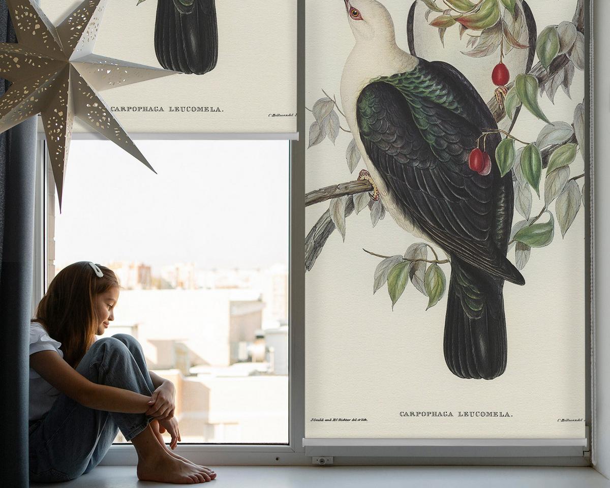 INNENROLLO - Fensterrollo - Rollo - 80x180 cm - Vögel auf einem Ast - Weiß, Kunststoff (80/180/0.5cm) - TULUP