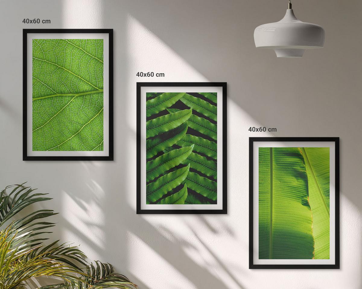 BILDER SET 3er Set - 40x60 cm Schwarzer Rahmen - Makrofotografie von tropischen Blättern - Schwarz, Kunststoff (40/60cm) - TULUP