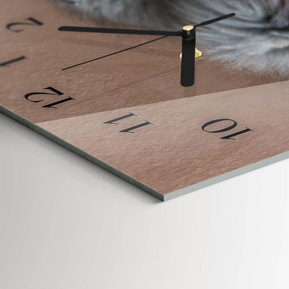 WANDUHR aus Glas 60x30 cm - Perserkatze - Grau, Glas (60/30/0.4cm) - TULUP