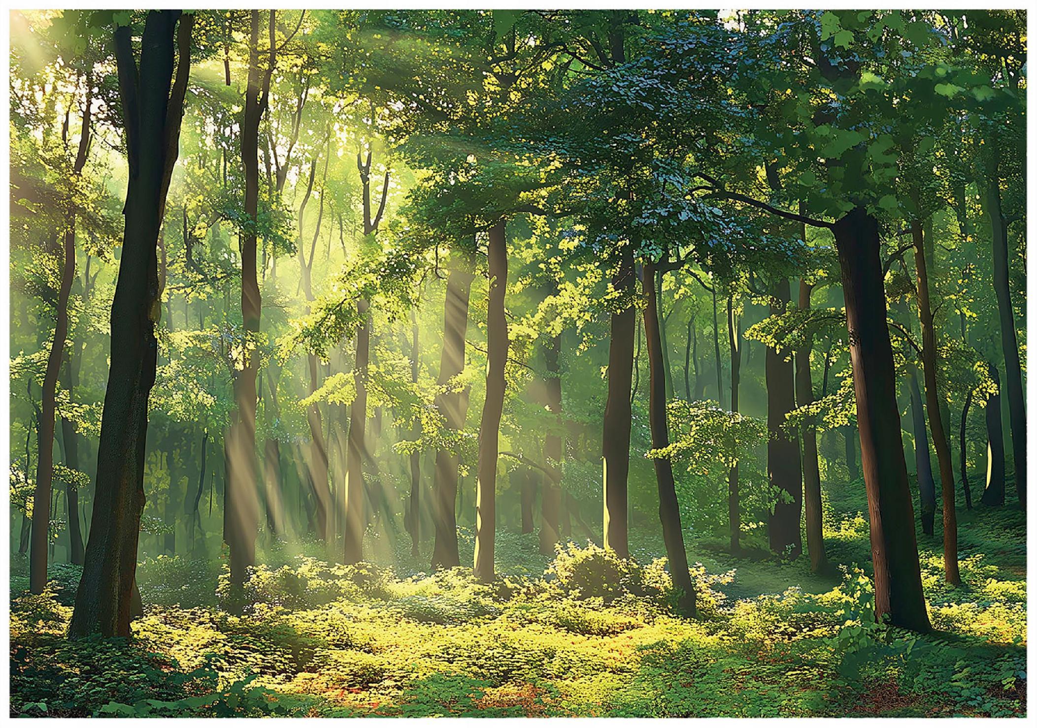 FOTOTAPETE Wald Natur Vlies Tapete Wohnzimmer Schlafzimmer 400x280 - Grün, Papier (400/280cm) - Wallarena
