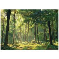 FOTOTAPETE Wald Natur Vlies Tapete Wohnzimmer Schlafzimmer 400x280 - Grün, Papier (400/280cm) - Wallarena