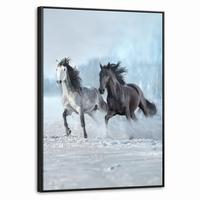 LEINWAND Bilder mit Rahmen - Pferde - Winter - Tiere - Natur - Schnee - 70x100 - Anthrazit, Textil (70/100cm) - MuchoWow