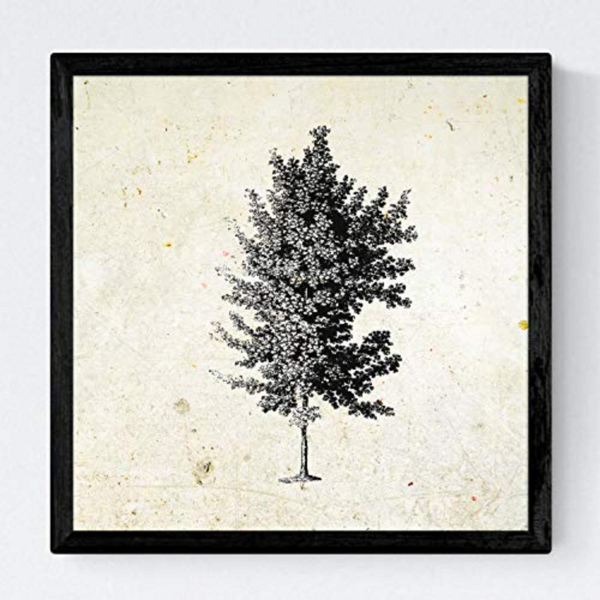 POSTER Set mit 4 Blättern der Bäume ohne Blüten 20x20cm Schwarzer Rahmen - Schwarz, Papier (20/3cm) - Nacnic
