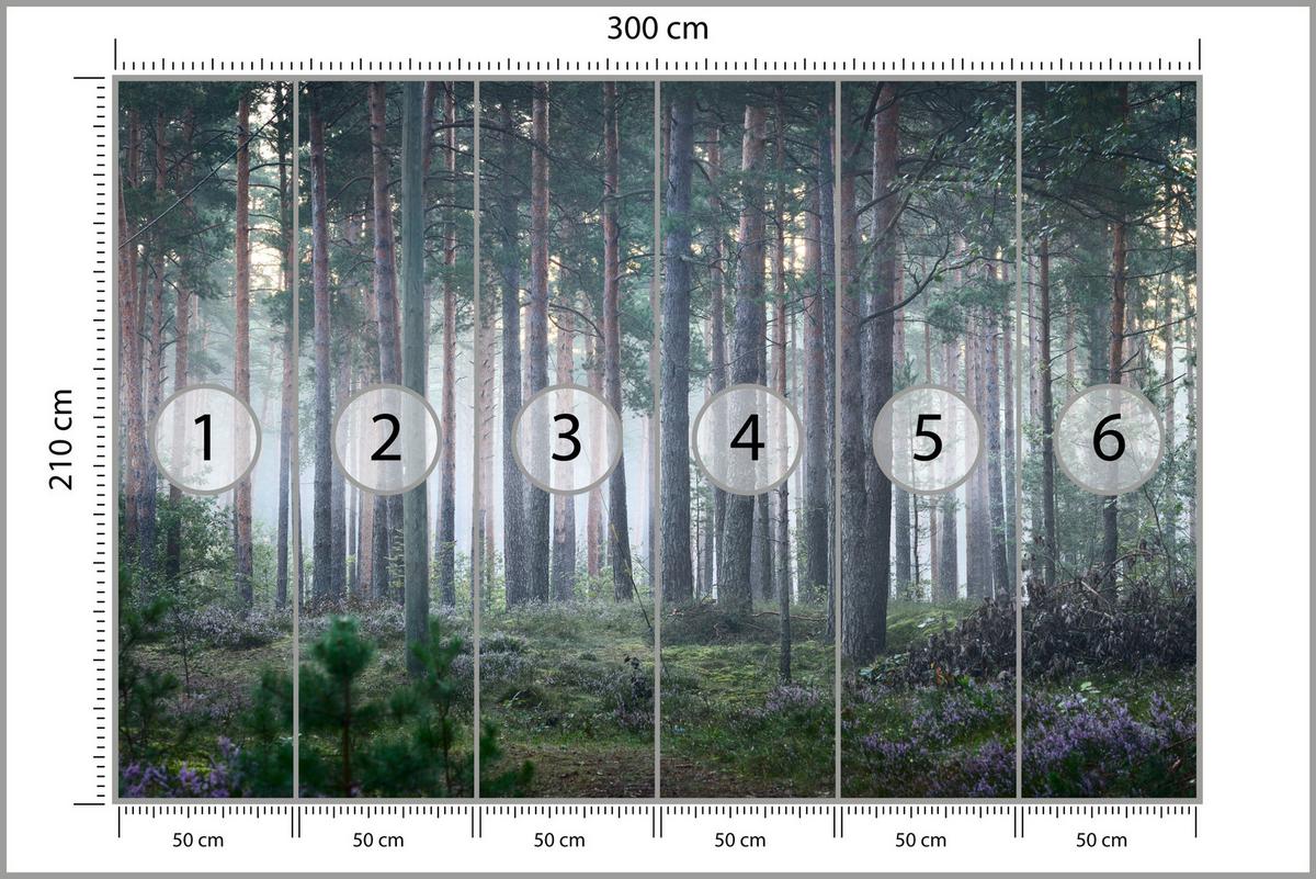 FOTOTAPETE für Wohnzimmer Nebelwald mit Bäumen Moos Grün 300x210 - Grau/Grün, Papier (300/210cm) - Muralo