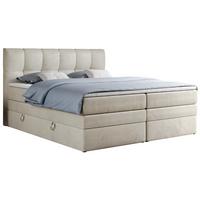 BOXSPRINGBETT ALVIN KING 120/200 Beige Velvet - H4 - Beige, Holz/Textil (120/200cm) - MKS