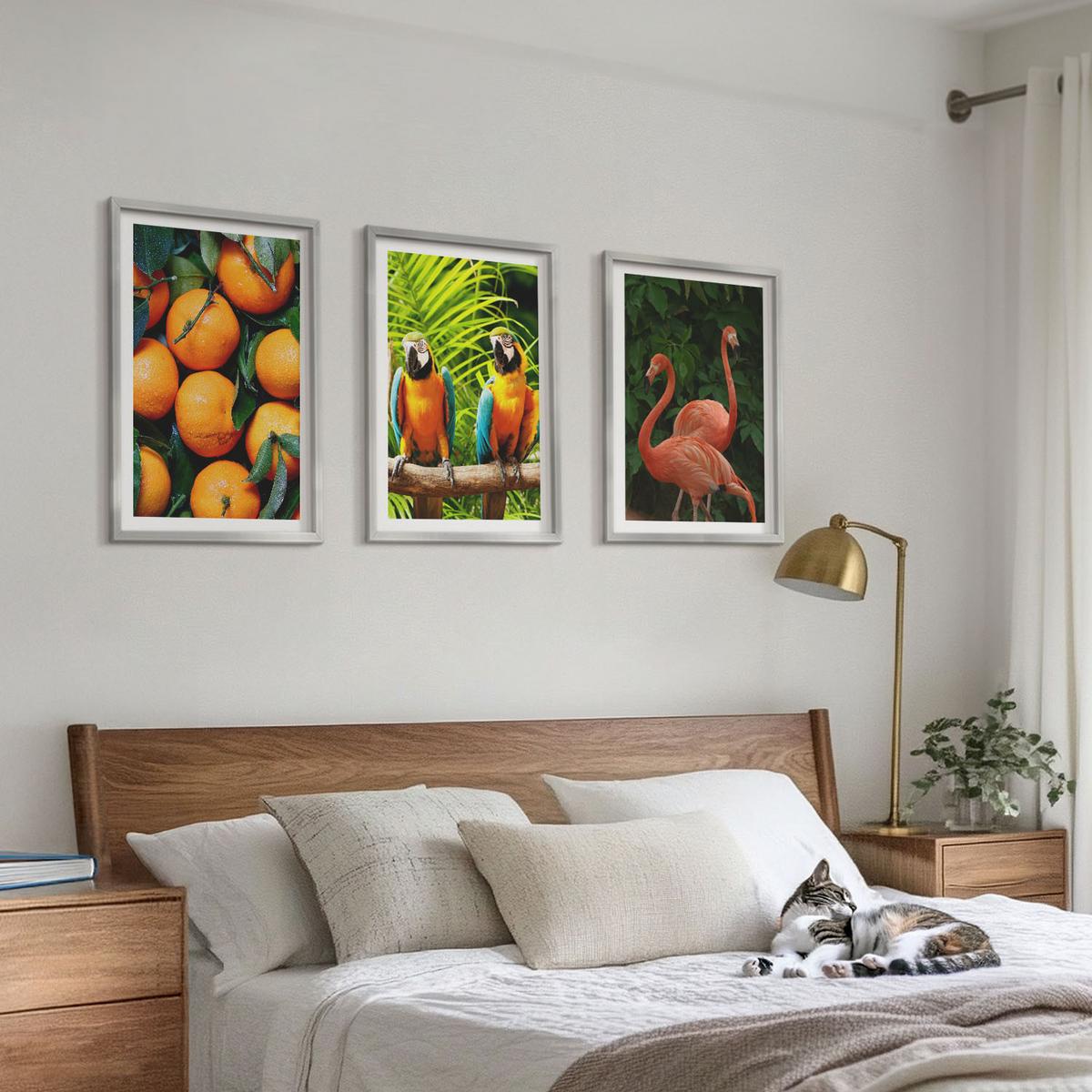 BILDER SET 3er Set - 40x60 cm Silberner Rahmen - Fruchtige Akzente in den Tropen - Silberfarben, Kunststoff (40/60cm) - TULUP
