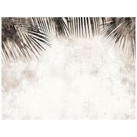 FOTOTAPETE Blätter Boho Beige Beton Wohnzimmer Tapete 200x140 - Beige, Papier (200/140cm) - Wallarena