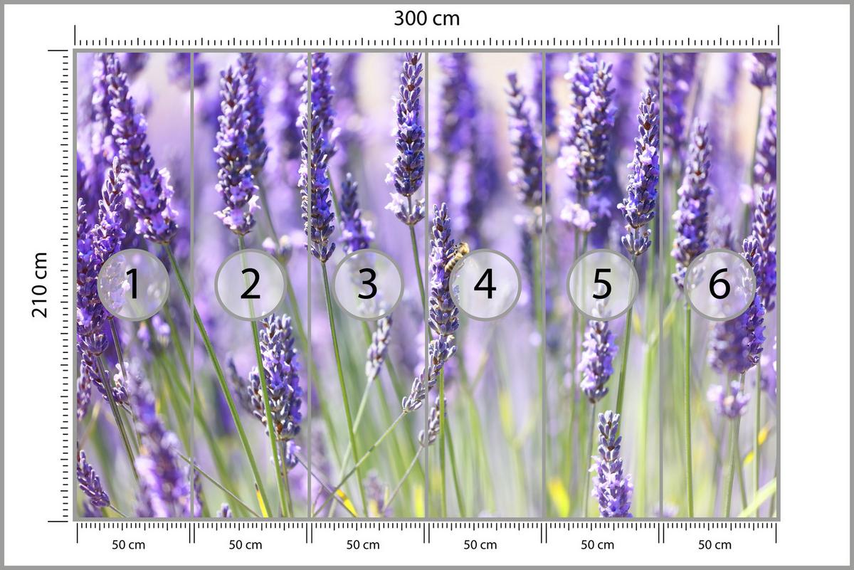 FOTOTAPETE für Küche Lavendelwiese Blumen Kräuter 300x210 - Violett/Grün, Papier (300/210cm) - Muralo