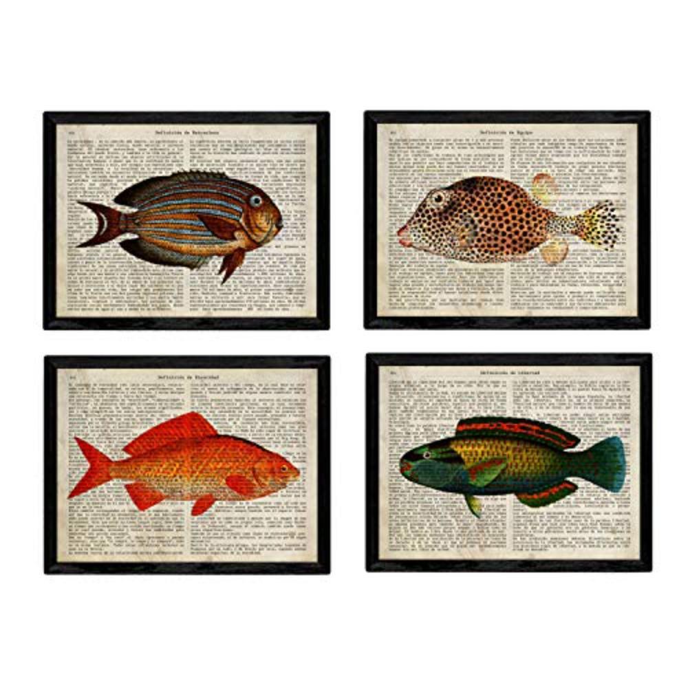 POSTER Set mit 4 Enzyklopädie mit Fische in verschiedenen Farben A4 Schwarzer Rahmen - Schwarz, Papier (29.7/3cm) - Nacnic