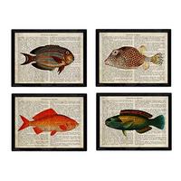 POSTER Set mit 4 Enzyklopädie mit Fische in verschiedenen Farben A4 Schwarzer Rahmen - Schwarz, Papier (29.7/3cm) - Nacnic