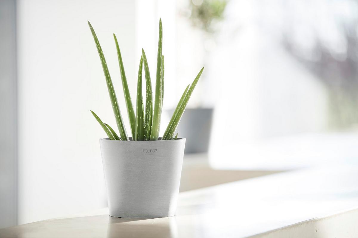 BLUMENTOPF Amsterdam 17/14,7 cm Hellgrau - Hellgrau, Kunststoff (17/14.7cm) - Ecopots