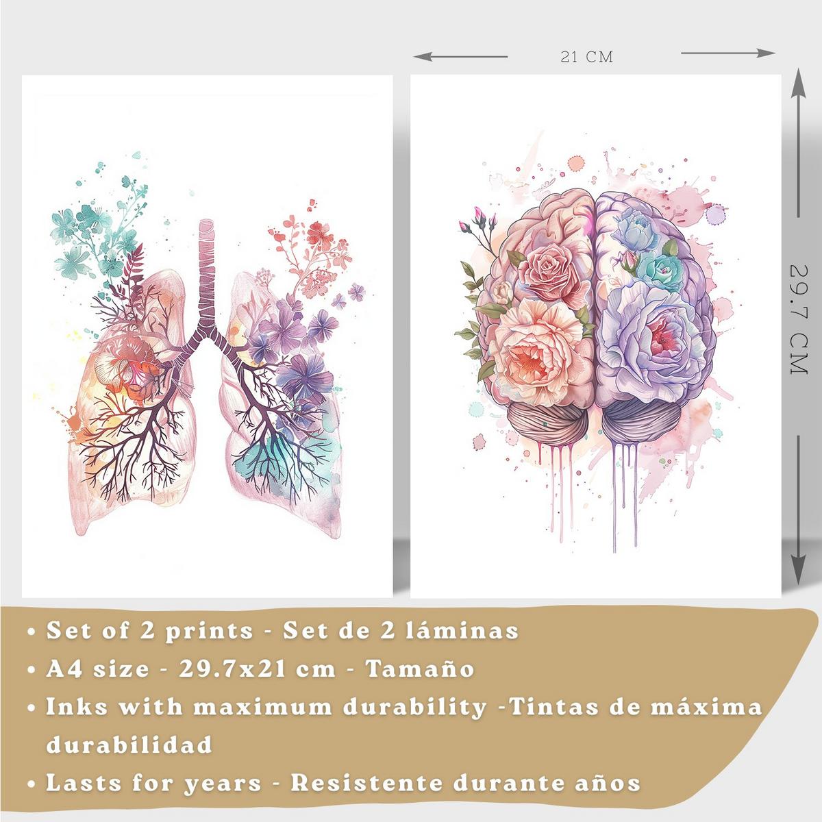 POSTER Set aus 2 Anatomie Mensch Drucke und mit Lungen Luftröhre Bronchien und Gehirn Pastellfarbenes Florales Aquarell Größe Leichter Holzrahmen A4 - Beige, Papier (21/29.7/3cm) - Nacnic