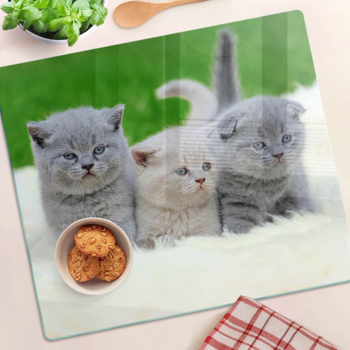 GLASPLATTE 60x52 cm Drei Katzen Decke - Limette, Glas (60/52cm) - TULUP