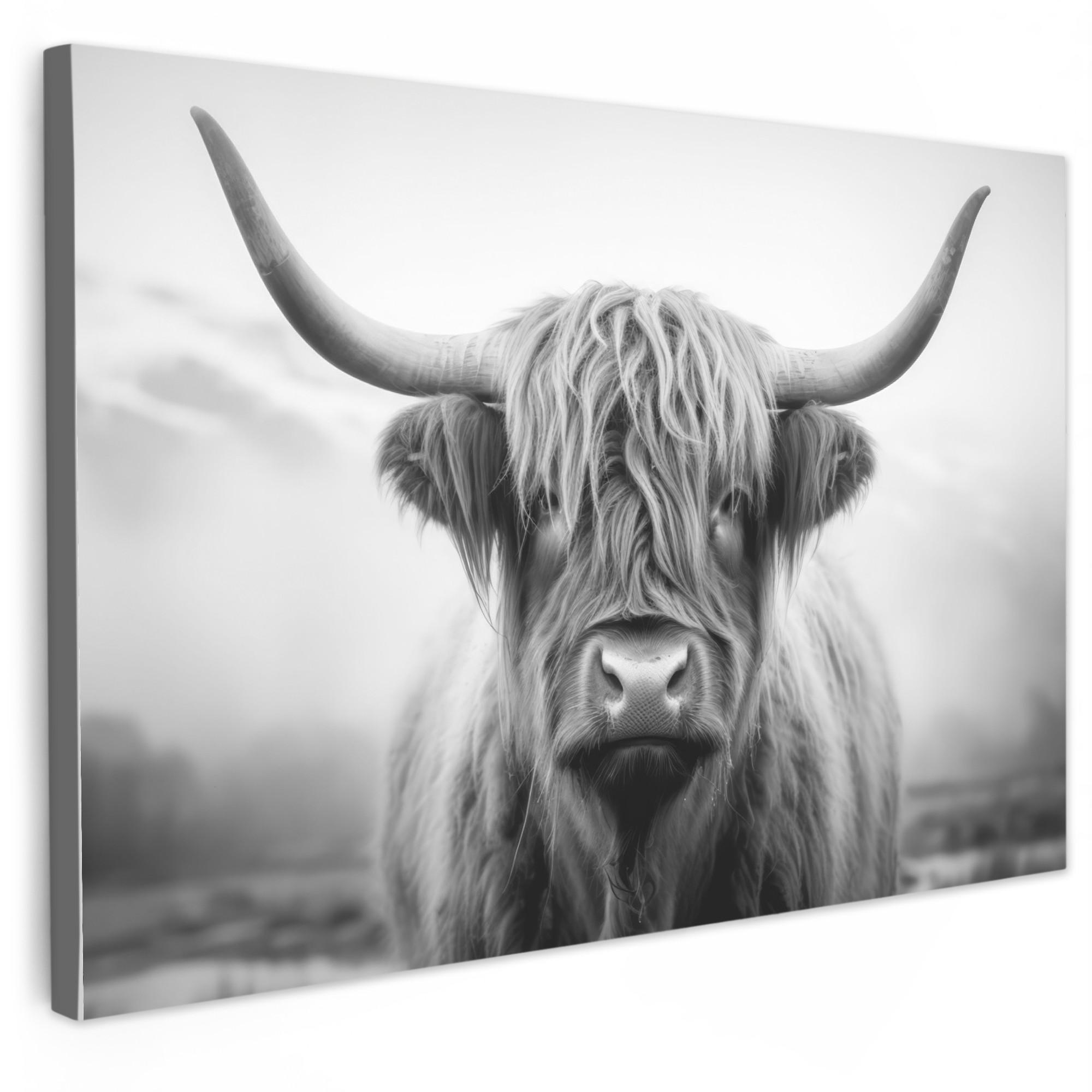 LEINWANDBILD Schottischer Highlander - Nebel - Schwarz - Weiß Deko Schlafzimmer 30x20 cm - Grau, Textil (30/20cm) - MuchoWow