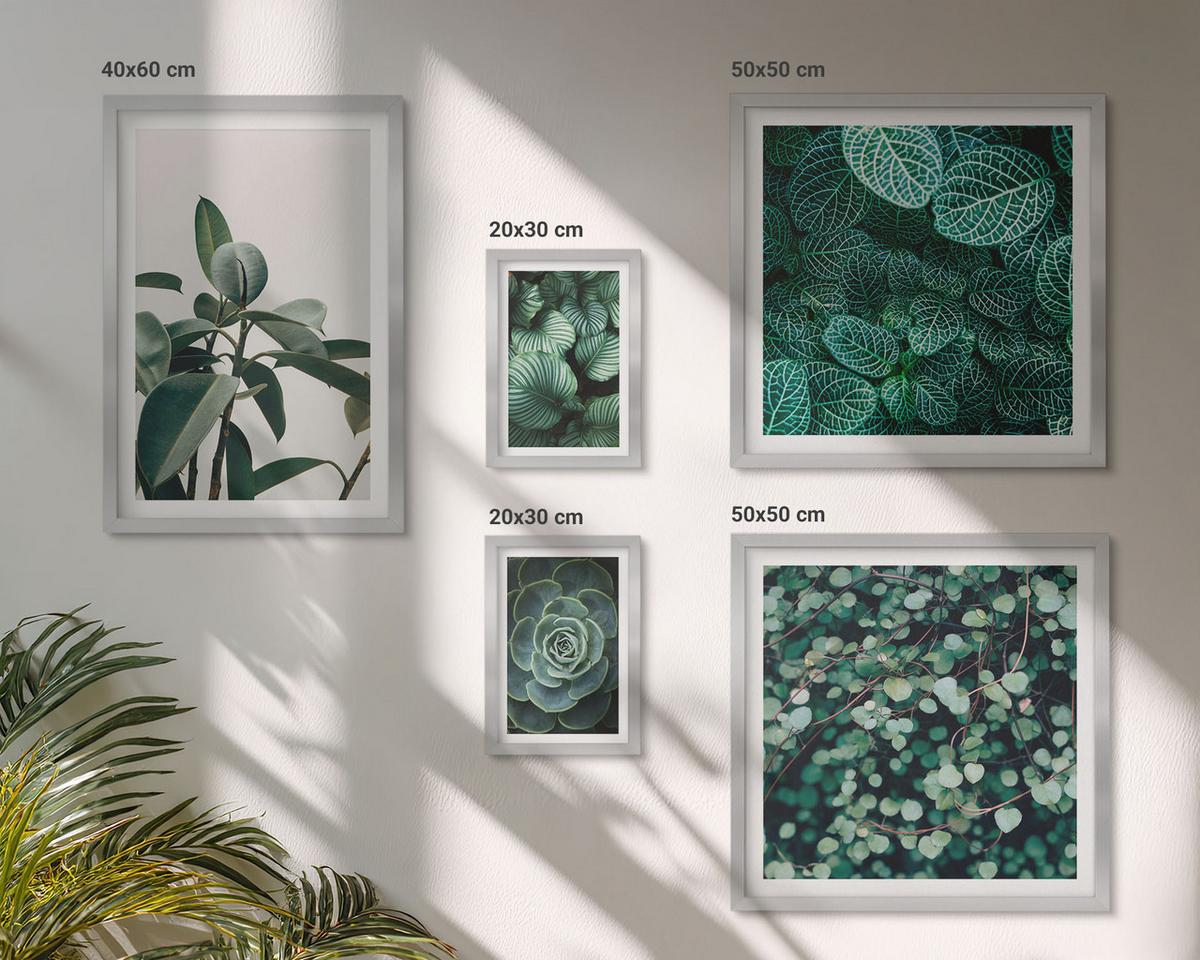 BILDER SET 5er Set - 50x50 cm & 20x30 cm & 40x60 cm Silberner Rahmen - Grüne Wälder, kristallklares Wasser - Silberfarben, Kunststoff (40/60cm) - TULUP